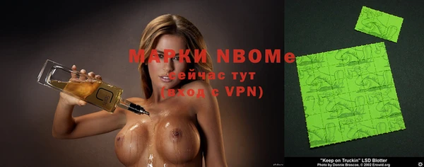 индика Богородицк